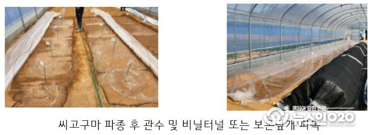 모기르기 관리 요령