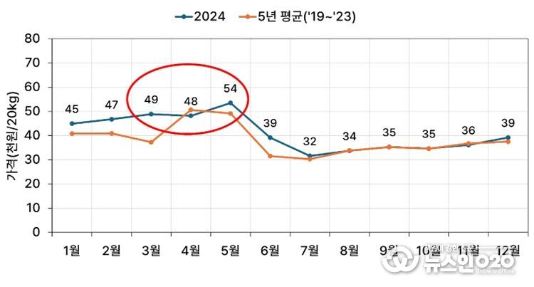 작형별 감자 시장 가격 동향