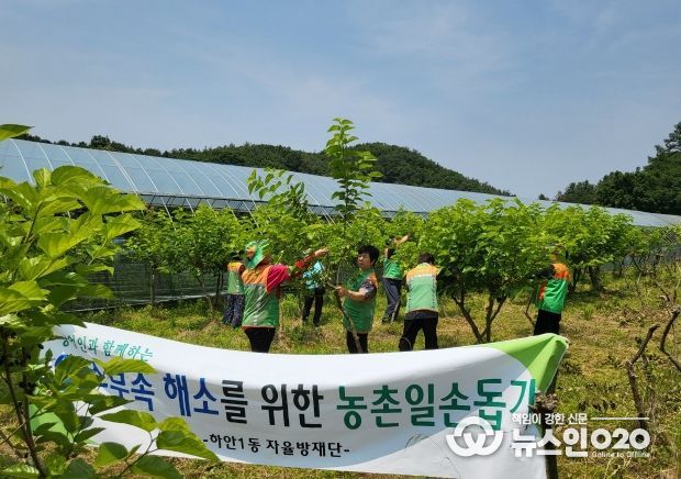 광명시 하안1동 자율방재단은 19일 농번기 일손 부족과 인건비 상승으로 이중고를 겪고 있는 농가의 어려움을 덜어주고자 양평 오디 농가를 방문해 부족한 일손을 도왔다.