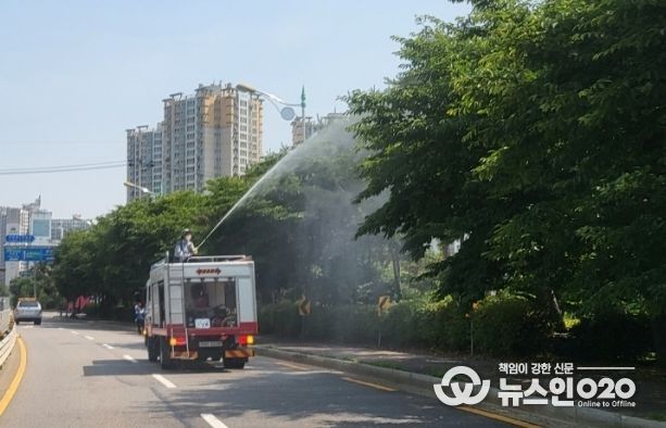 광명시가 관내 일명 러브버그(붉은등우단털파리) 발생에 따라 즉각적인 방재에 나섰다.