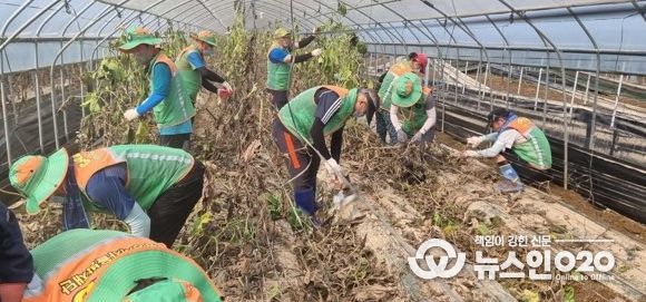 집중호우로 큰 수해를 입은 충북 지역 피해 복구 지원에 나선 광명시는 시민 등 50여 명이 21일 청주시 옥산면 환희리 일대 호박농장을 찾아 비닐하우스 복구 작업을 벌였다