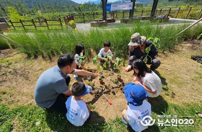 지난 5일 일직동 새빛공원에서 경기정원문화박람회 시민추진단 꼬마정원사들과 함께 해바라기 묘종 심기 체험 행사를 진행했다