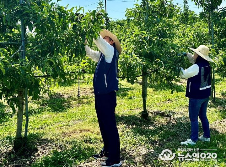 충남교육청, 일손 돕기 농촌봉사활동 실시