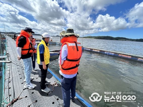 충남도, 천수만 해역 ‘고수온 경보’ 발령