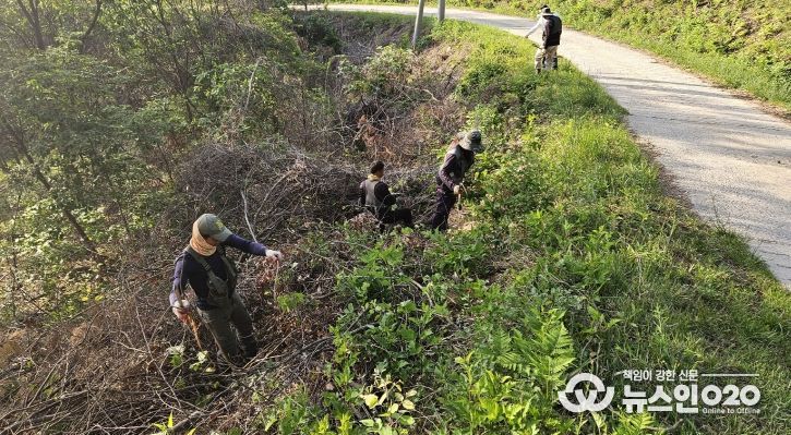 충청남도 경관·안전 해치는 덩굴류 없앤다