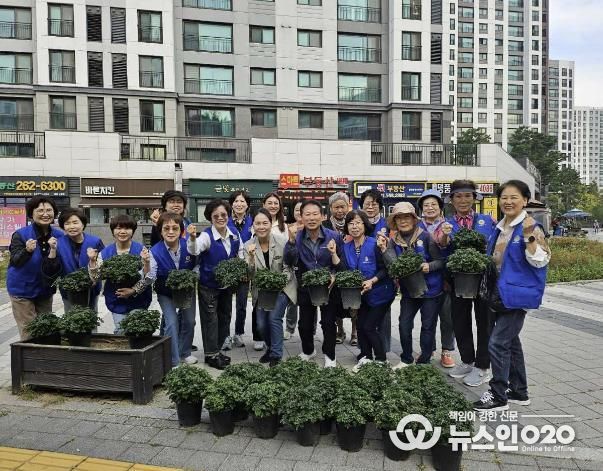 수원시 팔달구 고등동, 관내 구석구석 국화꽃밭으로 탈바꿈!