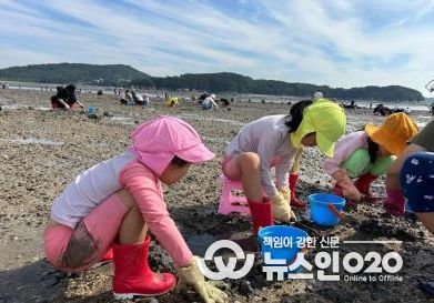 수원시청소년청년재단 영통청소년청년센터 가족 프로그램'패밀리가 떴다-어촌체험편'운영 성료