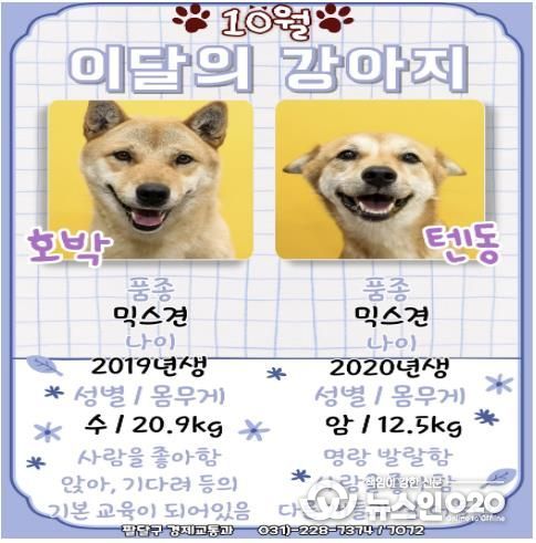 이달의 강아지(포스터)