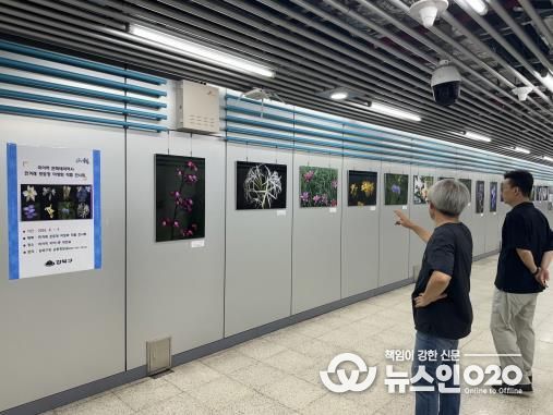 강북구 미아역에 설치된 신강북선 유치 기원 전시회에서 주민들이 지하철 사진을 관람하고 있다.