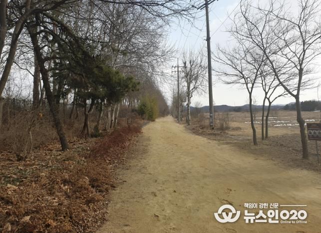 안산시, 안산갈대습지 개방 시간 연장… 오후 10시까지 운영