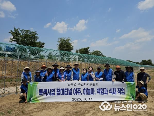안성시 일죽면 주민자치위원회, 청미천 일원에 특색작물 식재 및 백일홍 꽃밭 조성