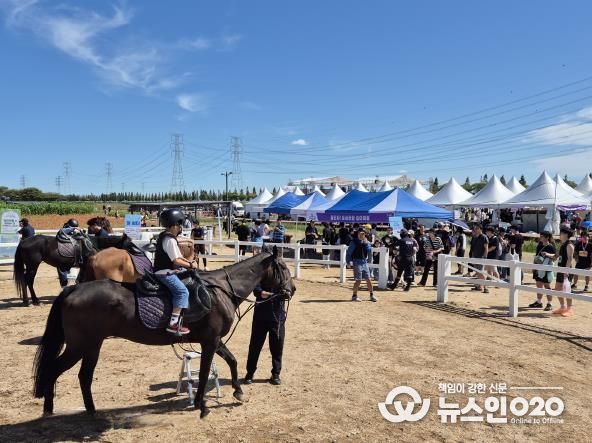 지난 19일부터 21일까지 대부포도축제에서 열린 도심 속 승마 축제에서 어린이들이 직접 승마체험을 즐기고 있다.
