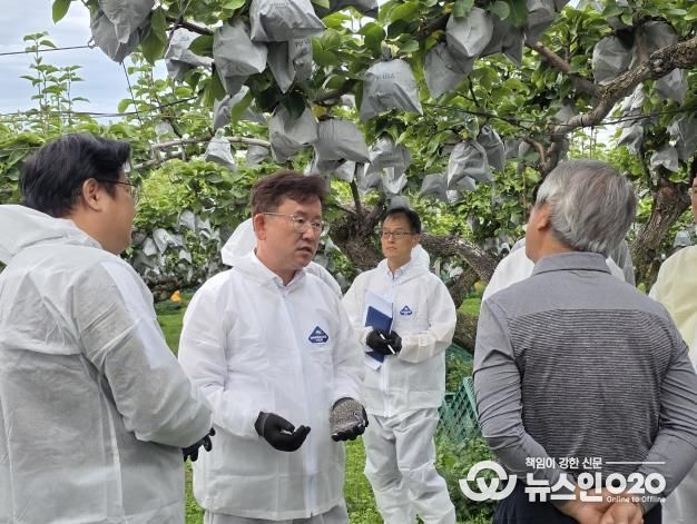 농촌진흥청장, 안성 배 생육 및 출하 현장점검 실시