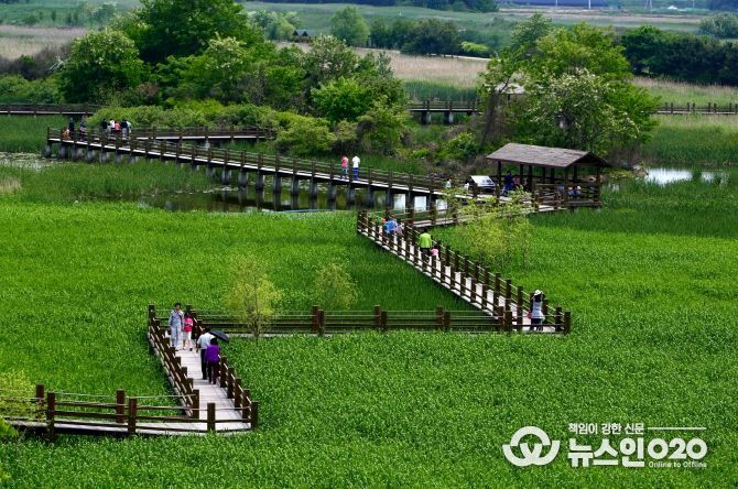 안산7경 안산갈대습지