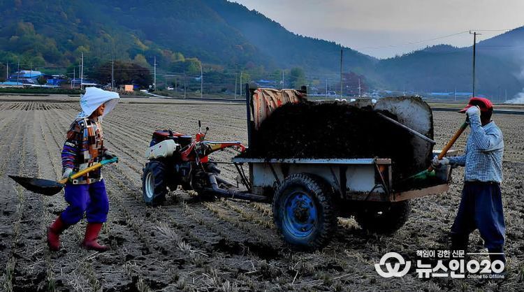 퇴비 살포 사진