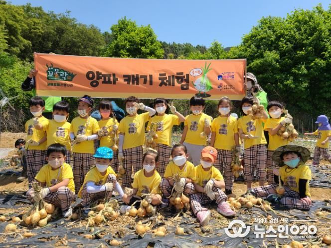 양파 캐기 체험 사진