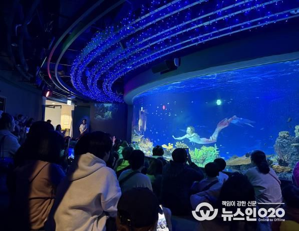 수원특례시 드림스타트 아동·가족이 아쿠아플라넷 관람을 하고 있다.