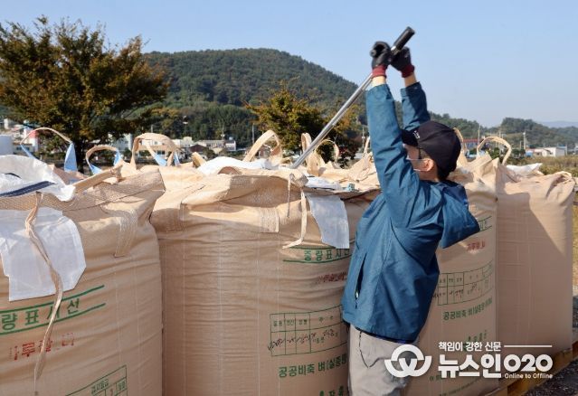 2025년산 공공비축미곡 첫 수매