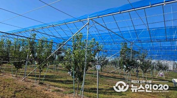 배 농가와 함께 ‘과수 기후변화 대응 현장 컨설팅’