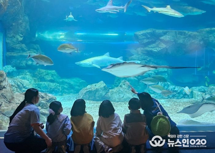 “하루에 바다를 다 체험할지니”수원 E:음 거점형 늘봄센터, 아쿠아플라넷 광교에서 해양생태 탐구 체험 운영