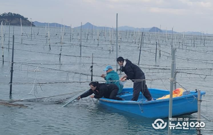 해양수산과학원 김 연구 사진