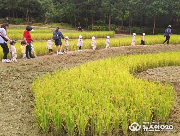 다랭이논 현황사진