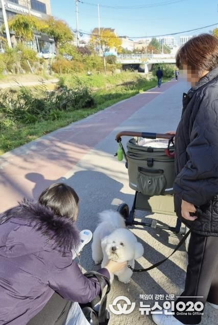 수원시 권선구, 동물등록 집중단속 및 공공장소 지도·단속 실시