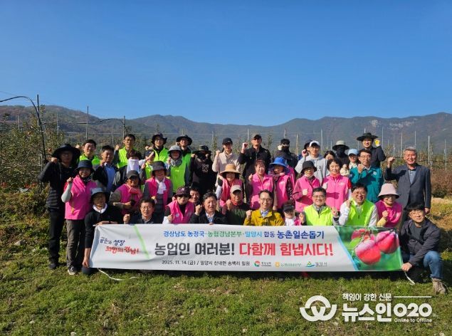 경남농협-밀양시-민간(고.주.모) 합동 밀양시 사과수확 현장 찾아 농촌 일손
