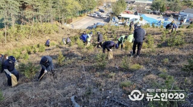 18일 안산시 백운공원에서 열린 비료시비 행사에서 참여자들이 고형복합비료 시비 활동을 진행하고 있다.