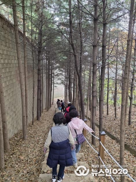 용인특례시 보건소 건강걷기 프로그램에 참여 중인 시민들