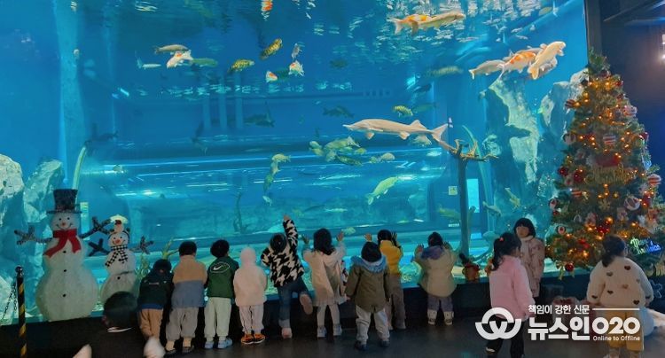 충북아쿠아리움에서 만나는 특별한 크리스마스