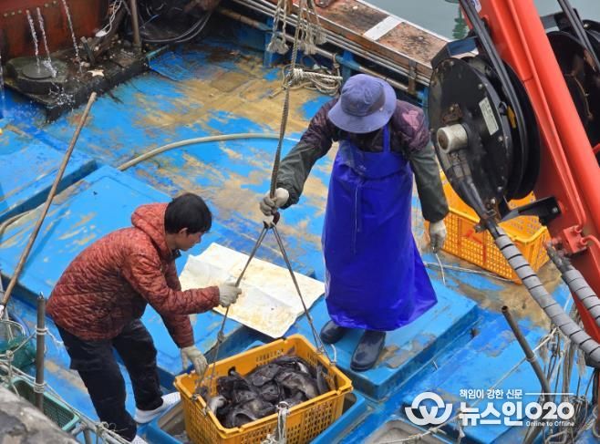 수산자원보호 직불금–어업 활동 사진