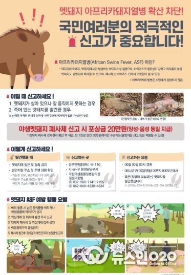 멧돼지 아프리카돼지열병 확산 차단 포스터