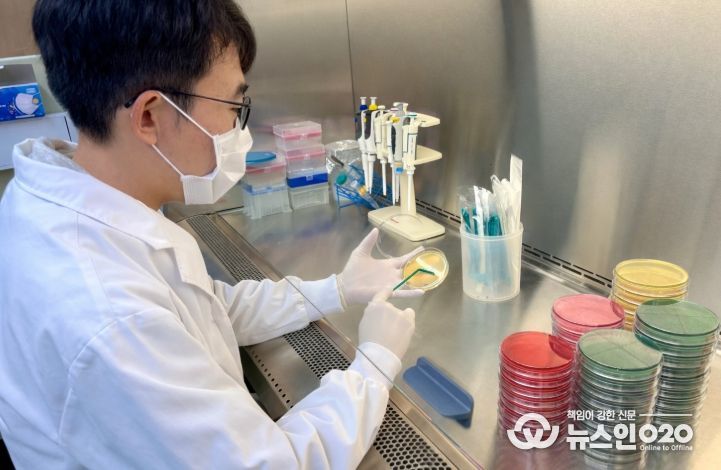 설 다소비식품 안전성 검사