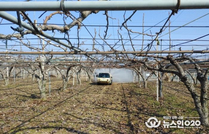 충남 지역 배 과수원 월동 해충 방제 2월 말 적기