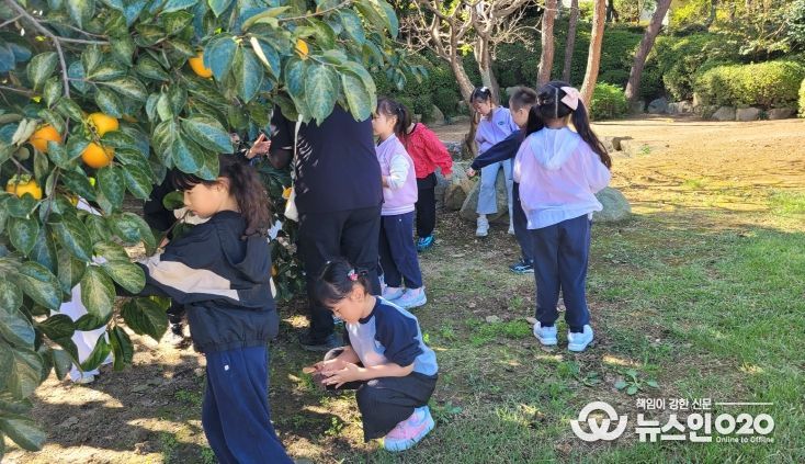 마주동행학교 원아들의 교육활동