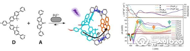 광유도 전하 분리 초분자 나노구조 규명