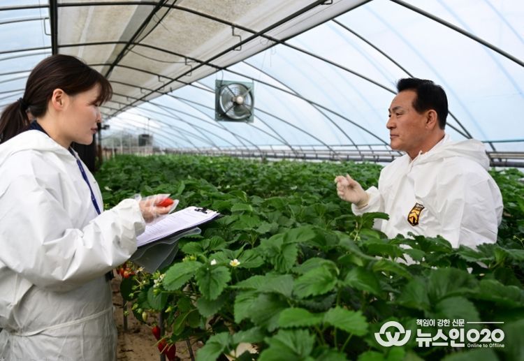 논산딸기축제 앞두고 현장 안전성 점검