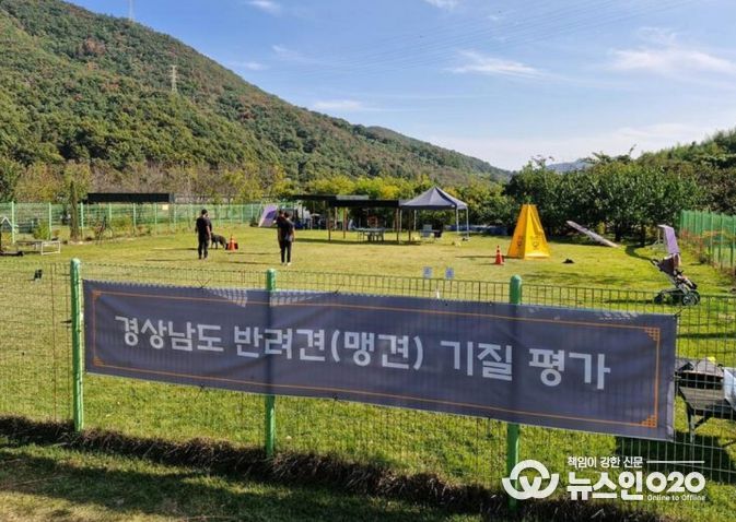 2026년도 맹견기질평가 장소