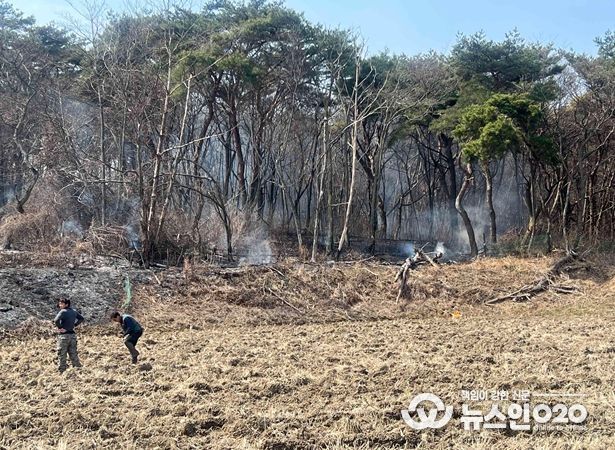 산불 현장 사진(남원시 아영면 월산리)