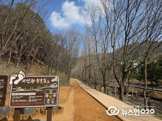 미선향 황톳길 전경