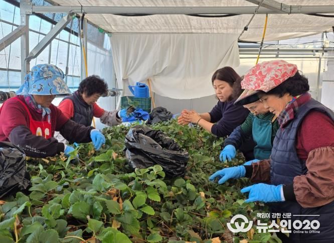 여성농업인 활동 사진