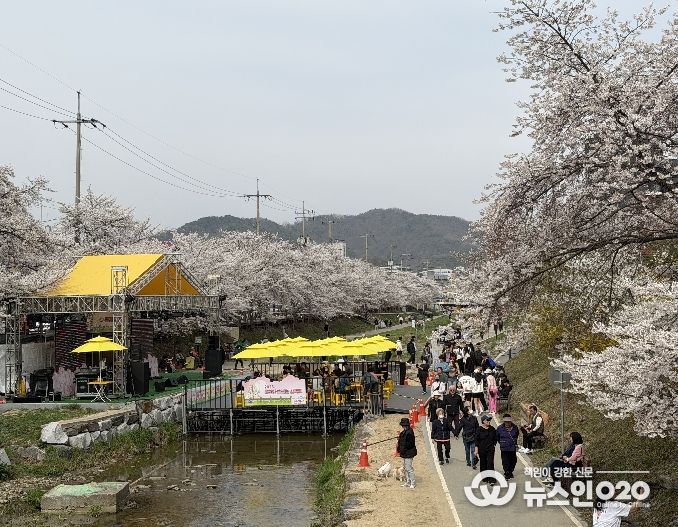 1. 천안문화재단이 원성천 벚꽃길에서 문화가 흐르는 산책로를 운영하고 있다.