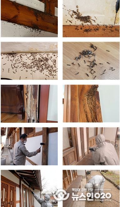 2026년 한옥 흰개미 방제사업